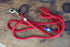 Red Dog Leash with Pacific Blue & White Whipping