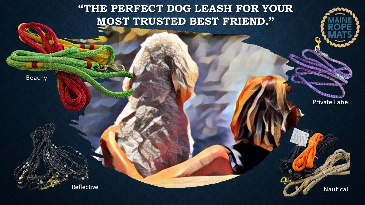 Marine Grade Handcrafted Braided Rope Dog Leash