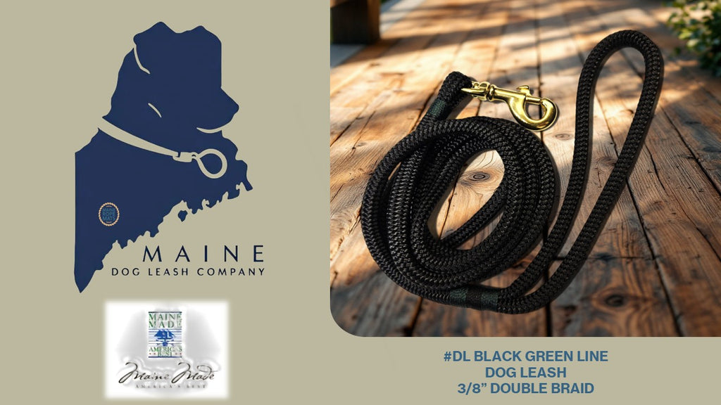 Marine Grade Handcrafted Braided Rope Dog Leash
